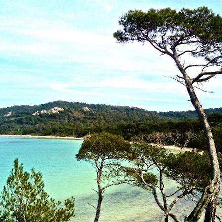 Ile De Porquerolles : T3 Climatise Vue Mer Bagian luar foto